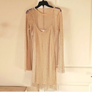 Sincerely Jules Cream Mesh Long Sleeve Dress